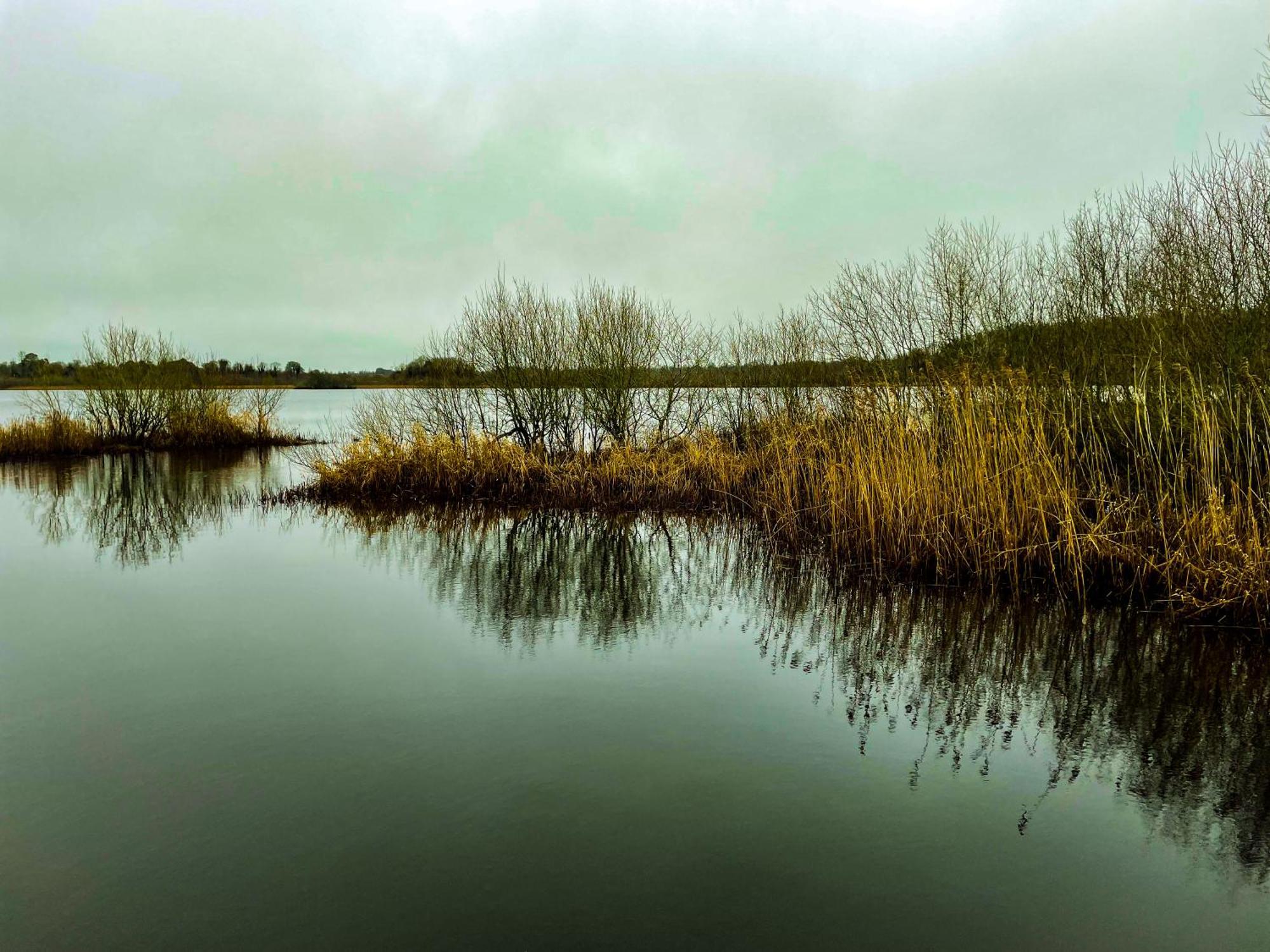 Lough Rynn Rental Mohill Exterior foto